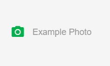 examplephoto.PNG